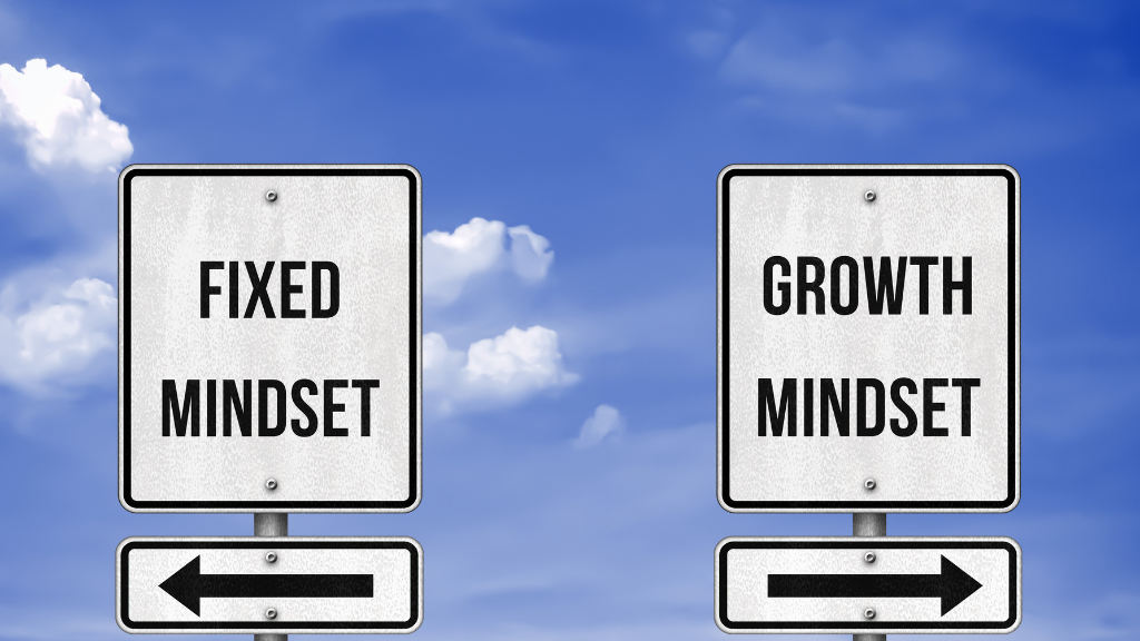 Ideas to Business Growth in 2024- Faster a Growth Mindset within your Team